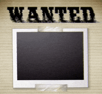 Pamfletim GIF by Tim Pamflet