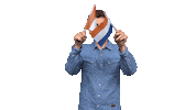 song contest arcade Sticker by AVROTROS