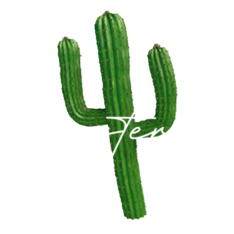 Desert Cactus Sticker by Litt'