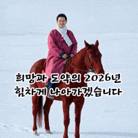 도지사 GIF