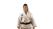 Sport Japan Sticker by Paris Saint-Germain Judo