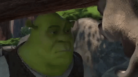 shrek captpudge GIF