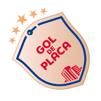 Dvbr Sticker by direcionalvendas