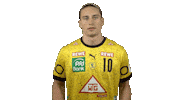 Handball-Bundesliga Handball Sticker by LIQUI MOLY HBL