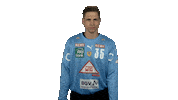 Handball-Bundesliga Handball Sticker by LIQUI MOLY HBL
