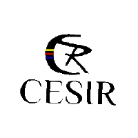 colegiocesir cesir Sticker