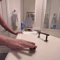 Skate Fingerboard GIF