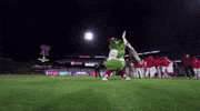 Phillies Philly Phanatic GIF