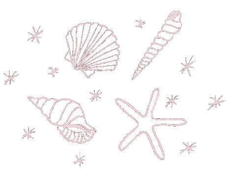 Beach Stars Sticker