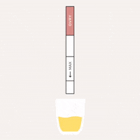 Pregnancy Ovulation GIF