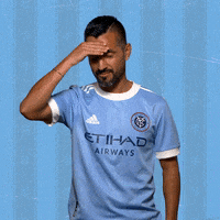 Major League Soccer Reaction GIF by NYCFC