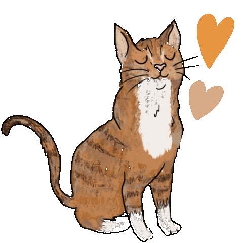Cat Love Sticker
