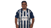 Fc Magdeburg Omg Sticker by Bundesliga