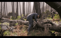 south africa love GIF by Universal Music Africa