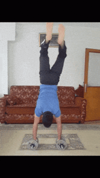 Handstand Dumbell GIF