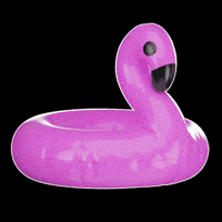 Dream Home GIF by Dream Home Art Union