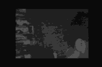 robinsoncobras.com, pxl2000, pixel vision, video art, signal culture GIF by J. Robinson