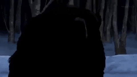 nadiahang giphygifmaker GIF