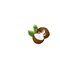 Vegan Coconut Sticker by Tuğçe Çeğil