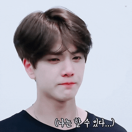 tintuckpop giphyupload GIF
