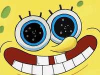 Season 8 GIF by SpongeBob SquarePants
