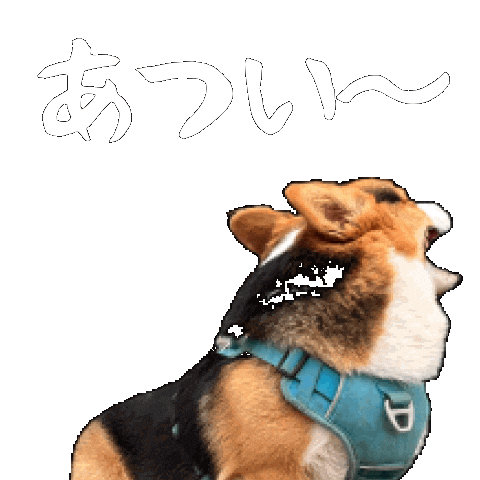 Corgi Milo Sticker