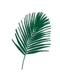 Palm Tree Fashion Sticker by UZWEI