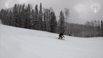 Snowboarding Winter Sports GIF by All-Round Champion