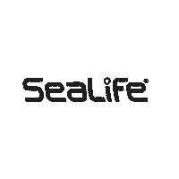 Diving Snorkeling Sticker by SeaLife Cameras