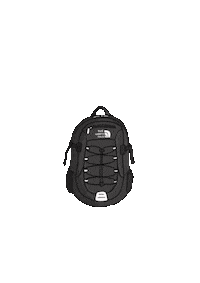 Traveling The North Face Sticker