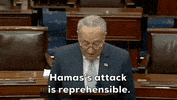 Chuck Schumer Israel GIF by GIPHY News