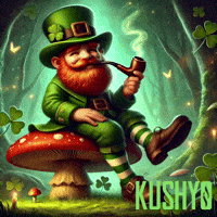 Happy St Patricks Day GIF by Kushy Dreams