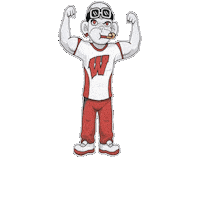College Sports Win Sticker by Zhot