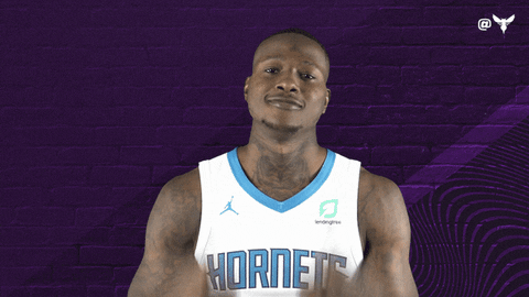 Terry Rozier Sport GIF by Charlotte Hornets