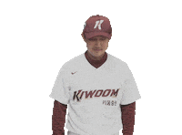 키움히어로즈 Sticker by Kiwoom Heroes Baseball Club