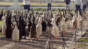 let's go run GIF by Great Big Story