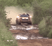 Safari Rally Kenya GIF by FIA World Rally Championship