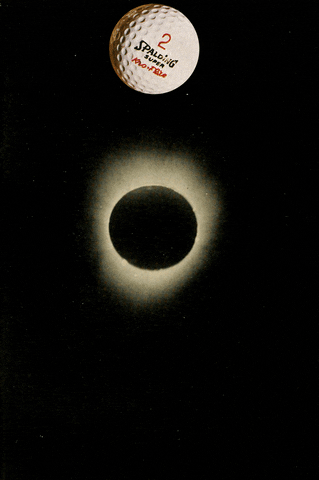 emmaanna giphyupload GIF