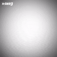 Happy Fun GIF by SWR3