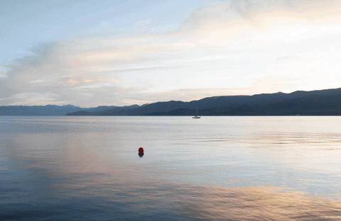 sophiaalexander giphyupload GIF