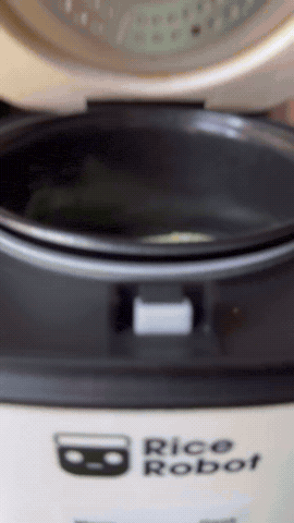 Baked Brie In A Rice Cooker | Rice Robot