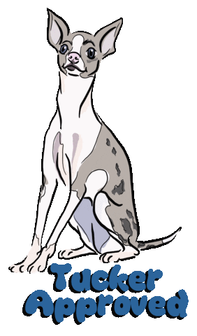 RensPets giphyupload Sticker