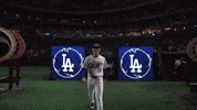 Los Angeles Dodgers Sport GIF by MLB