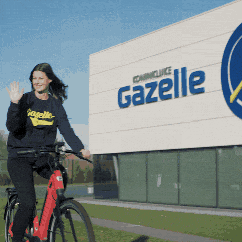 Koninklijke_Gazelle giphyupload GIF