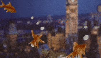 At Work Office GIF by StittsvilleOnPatrol