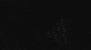 sam raimi toomanygifs maybe idkw/e GIF by Maudit