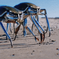 Net Art GIF by Garbi KW