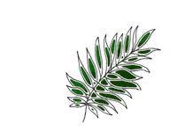 littlemissun sticker travel nature green Sticker