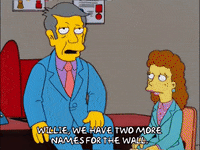 the simpsons episode 3 GIF