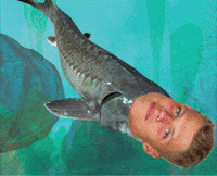 Ajax Sean GIF